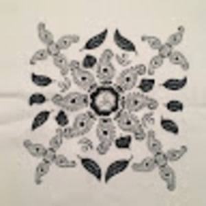 Meet your Posher, Shareen shazeena